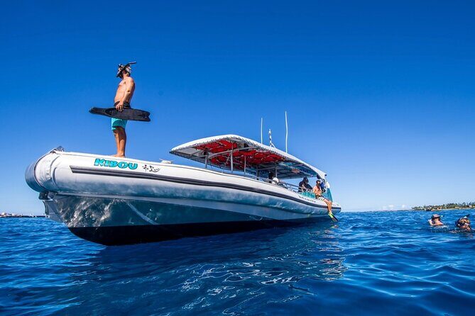 Small-Group Manta Ray Night Snorkel from Kona - FAQs About the Small-Group Manta Ray Night Snorkel