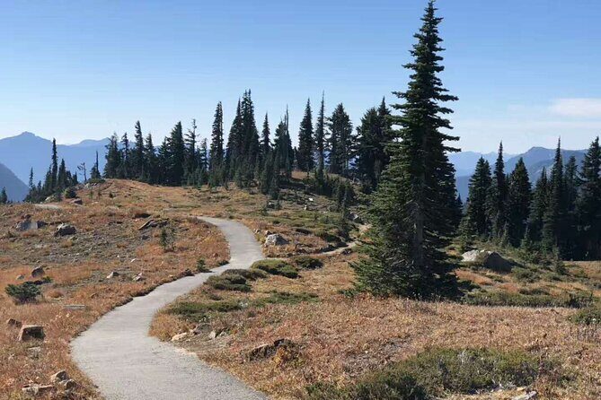 Small Group Mt Rainier National Park Day Tour from Seattle 2CanGo - Who Will Love This Tour?