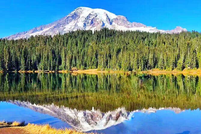 Small Group Mt Rainier National Park Day Tour from Seattle 2CanGo - Accessibility and Practical Tips