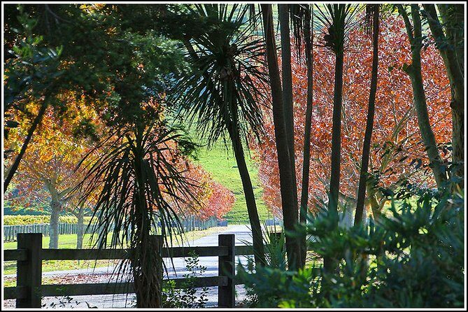 Small group - Napier Premium Wineries+ Beer tour -5.0 - 5.5 hours - The Sum Up: A Genuine Taste of Hawke’s Bay