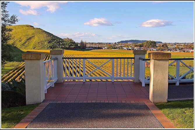 Small group - Napier Premium Winery , Beer & Cider + 5.5h to 6h. - Key Points