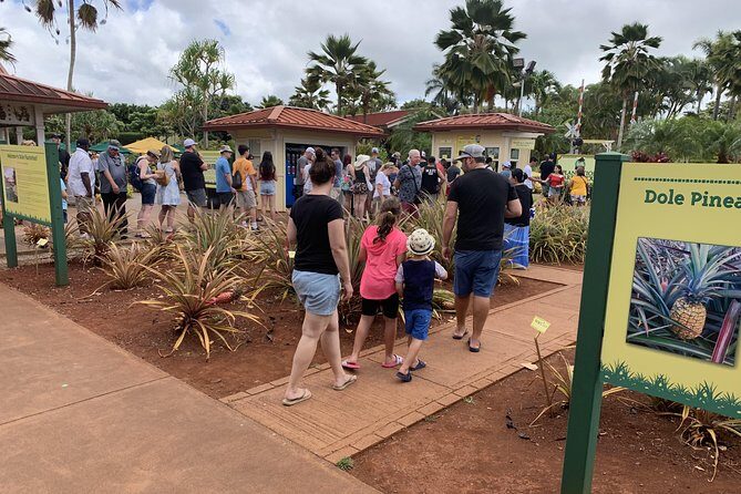Small Group-Oahu Tour, Dole Plantation, Northshore, Sunset Beach - What to Expect During the Tour