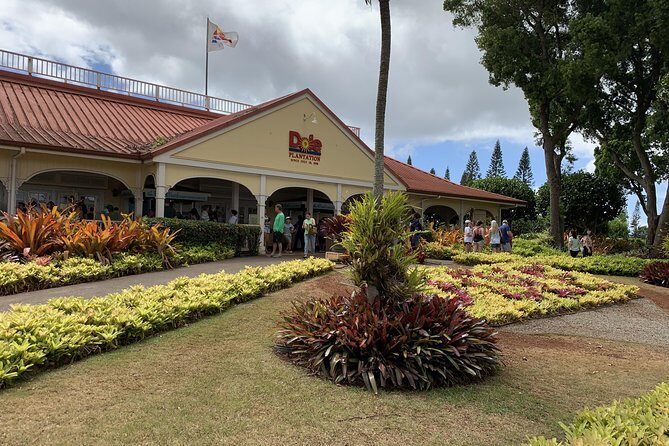 Small Group-Oahu Tour, Dole Plantation, Northshore, Sunset Beach - Final Word