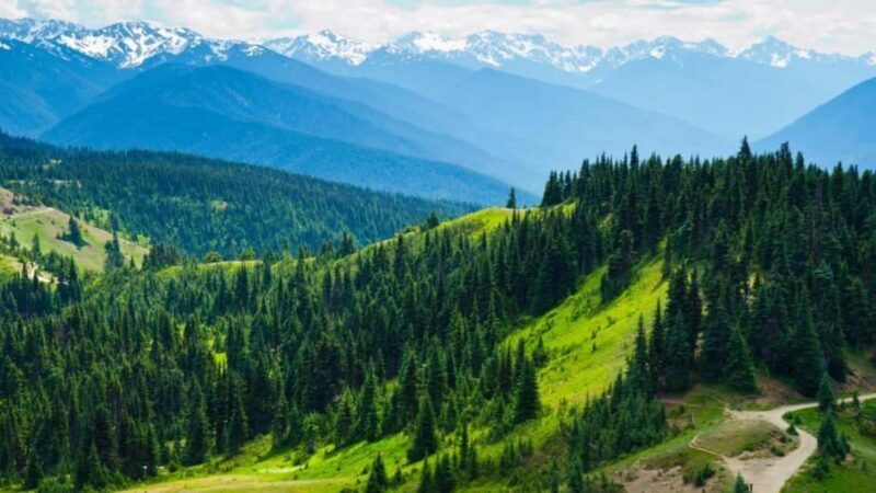 Small Group: Olympic National Park Day Tour From Seattle - Key Points