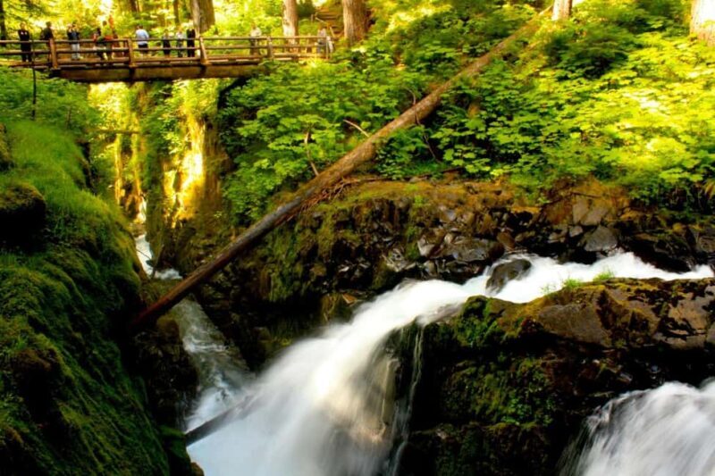 Small Group: Olympic National Park Day Tour From Seattle - Exploring Olympic National Park: A Closer Look at What You’ll Experience