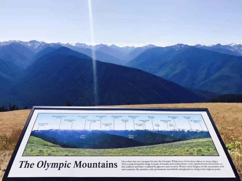 Small Group: Olympic National Park Day Tour From Seattle - The Sum Up