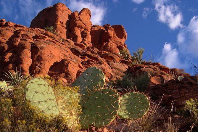 Small Group or Private Sedona and Native American Ruins Day Tour - FAQ