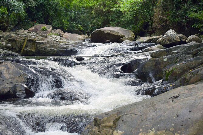 Small-Group Pala U Waterfall Jungle Tour from Hua Hin - An In-Depth Look at the Tour