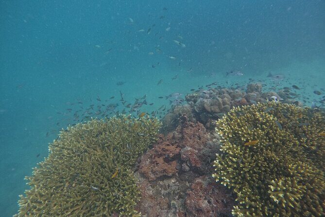Small Group Phi Phi Islands Sunrise Tour with Seaview Lunch - The Value of the Tour