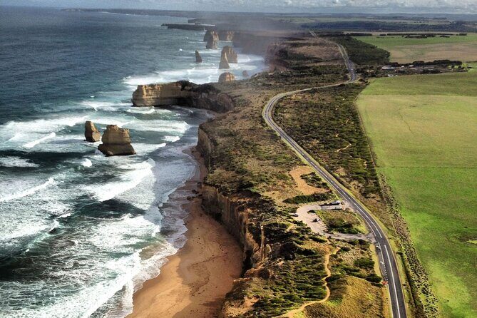 Small-Group Phillip Island Afternoon Day Trip from Melbourne - What the Reviews Say