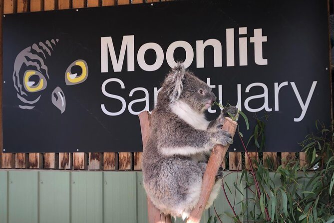 Small-Group Phillip Island Afternoon Day Trip from Melbourne - FAQ