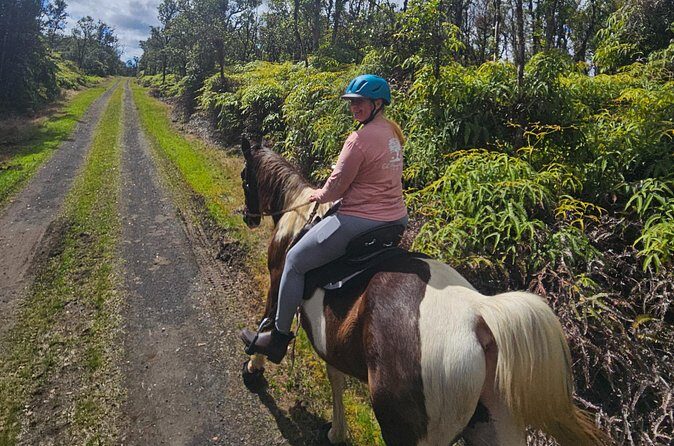 Small Group Rainforest Trail Ride - Suitability and Who Will Love It