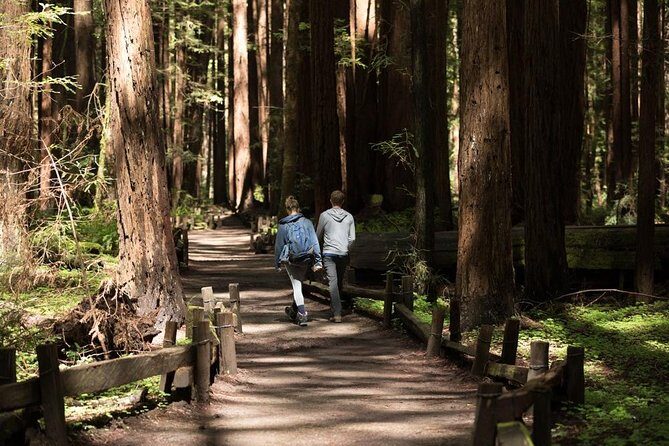 Small Group Redwoods, California Coast & Sausalito Day Trip from San Francisco - An In-depth Look at the Tour Experience