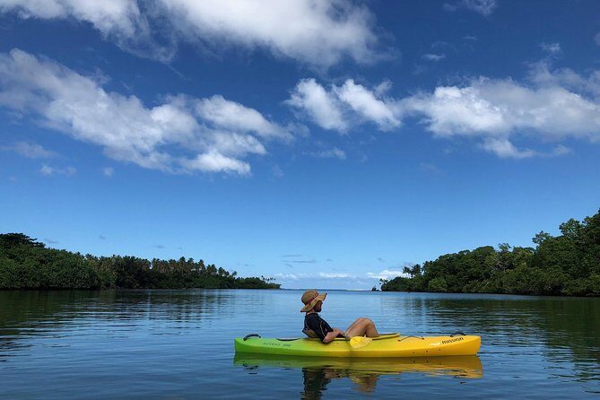 Small Group River Kayaking Tour from Port Vila - Overview of the Experience
