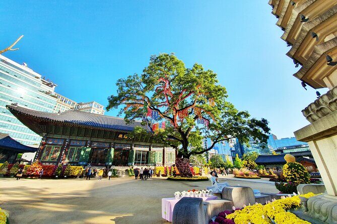Small-Group Royal Palace and Seoul City Tour (hotel pick-up) - The Sum Up