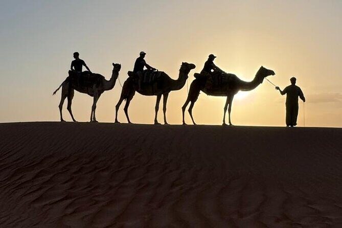 Small Group Safari World with Sunset in Wahiba Desert Tour - Starting the Day: Safari World Ibra
