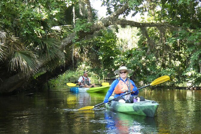 Small Group Scenic Wekiva River Kayak Tour near Orlando - The Value of the Wekiva River Kayak Tour