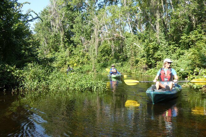 Small Group Scenic Wekiva River Kayak Tour near Orlando - The Sum Up: Who Is This Tour Best For?