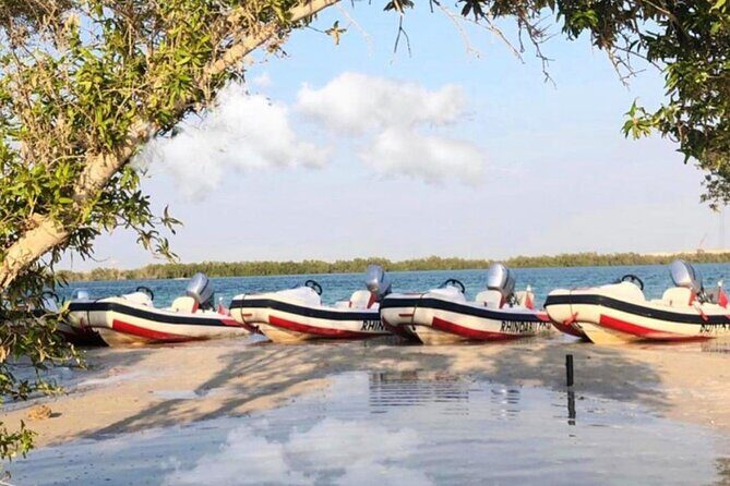 Small-Group Self-Drive Speedboat Tour in Yas Island Mangroves - The Experience in Detail