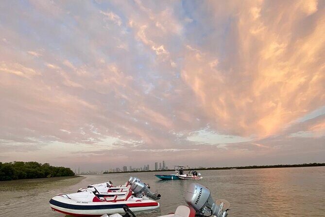 Small-Group Self-Drive Speedboat Tour in Yas Island Mangroves - The Sum Up