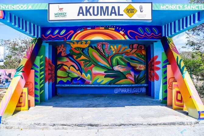Small Group Semi Private Akumal and Cenote Snorkeling Tour - Who Should Consider This Tour?