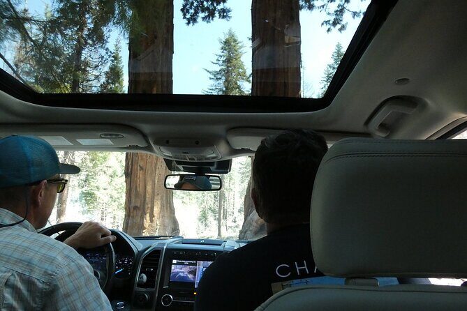 Small Group Sequoia Tour from Wuksachi Lodge with Lunch - Who Will Love This Tour?