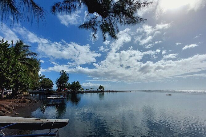 Small Group Shared Tahiti Circle Island Waterfalls and Views - Who Should Book This Tour?