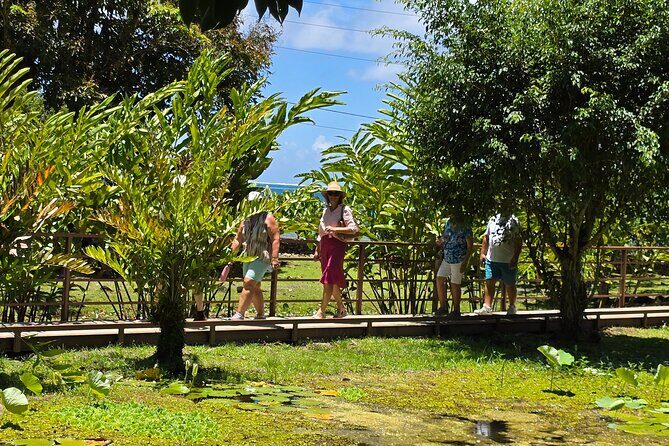 Small Group Shared Tahiti Circle Island Waterfalls and Views - FAQs