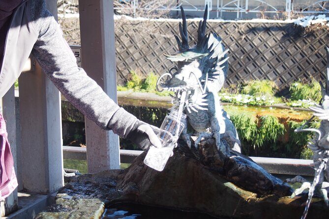 Small Group Sightseeing Tour Visit to Toyama with Lunch Included - A Deep Dive into the Toyama Experience