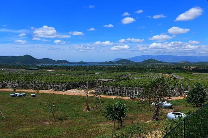Small-Group Sihanoukville City Tour from Cruise Port - Final Thoughts