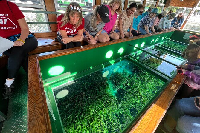 Small Group Silver Springs State Park 1-Day Tour from Orlando - The Sum Up
