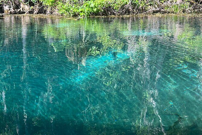 Small Group Silver Springs State Park 1-Day Tour from Orlando - FAQs
