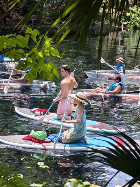 Small Group Silver Springs State Park Day Tour from Orlando - An In-Depth Look at the Tour Experience