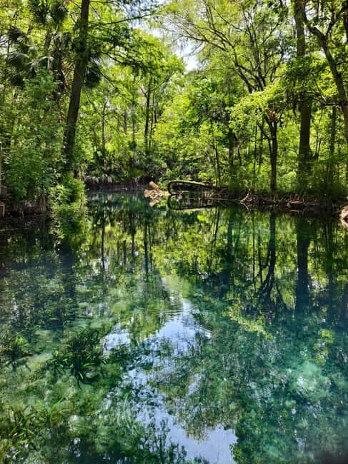 Small Group Silver Springs State Park Day Tour from Orlando - FAQs