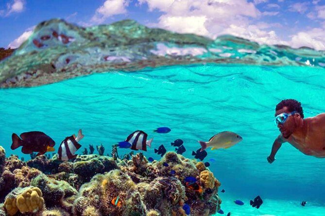 Small group snorkeling (5 people max): wrecks & tropical fishes at 10:30am - The Group and Duration: Small, Personal, and Manageable