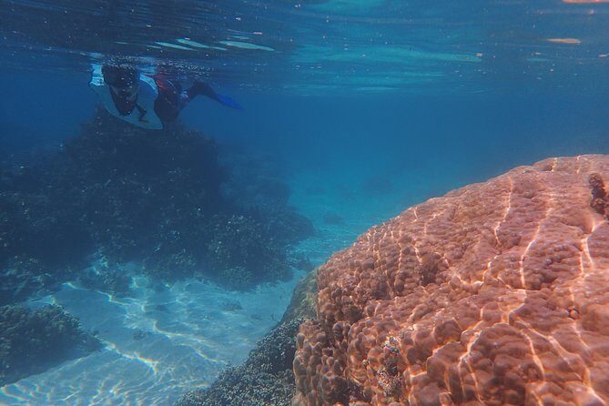Small group snorkeling (5 people max): wrecks & tropical fishes at 10:30am - Practical Details: Planning Your Snorkeling Day