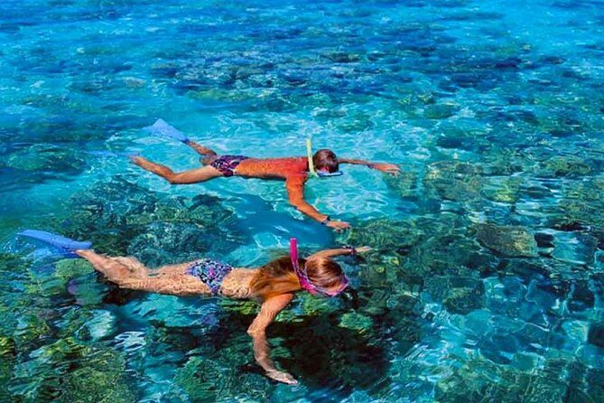 Small group snorkeling (5 people max): wrecks & tropical fishes at 10:30am - The Sum Up: Who Should Book This Experience?