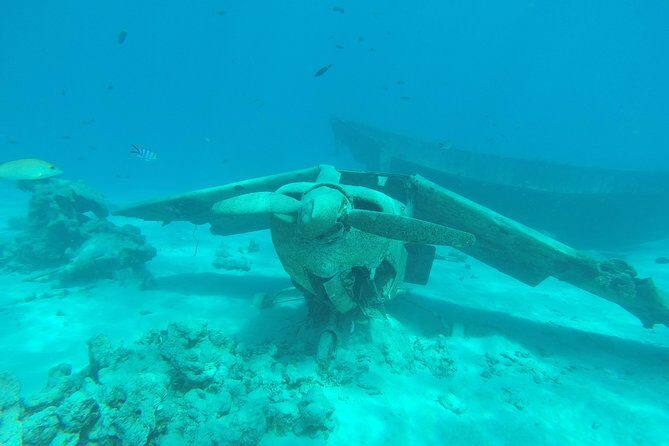 Small group snorkeling (5 people max): wrecks & tropical fishes at 3:30pm - An In-Depth Look at the Tour