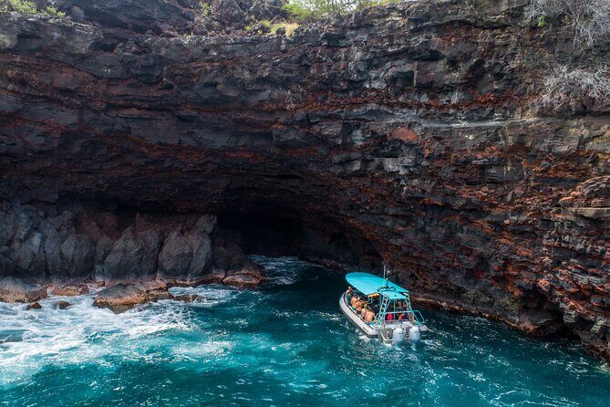 Small Group Snorkeling Expedition South Kona - The crew and guides: A pillar of the experience