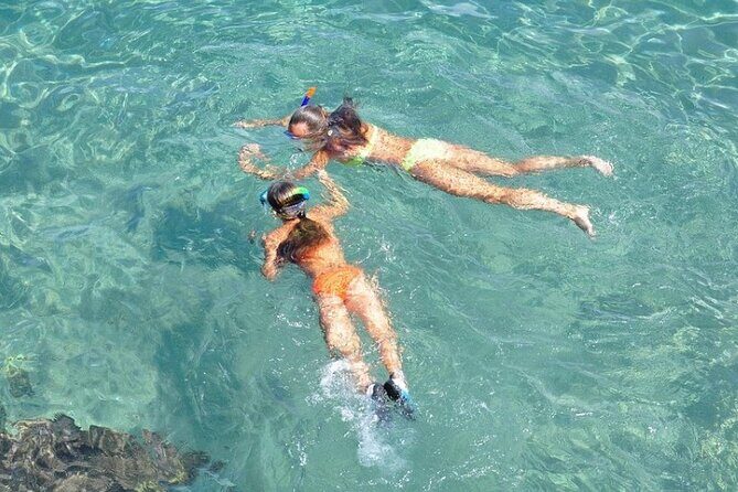 Small-Group Snorkeling Experience at Sea Garden - The Experience in Detail: What to Expect