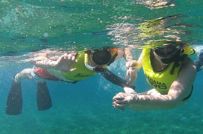 Small-Group Snorkeling Experience at Sea Garden - The Itinerary Breakdown