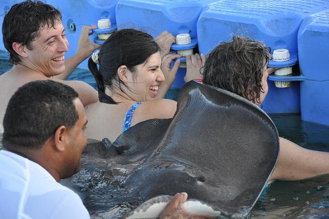 Small Group Snorkeling, Sharks & Stingrays Encounter by boat - How About the Price and Overall Value?