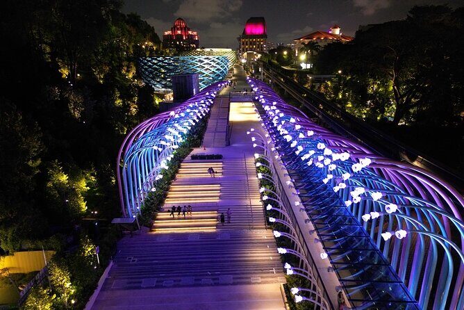 (Small Group) Starry Night Singapore Sentosa Tour - Key Points