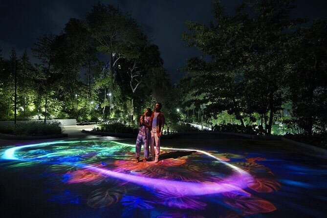 (Small Group) Starry Night Singapore Sentosa Tour - What the Tour Covers: A Close Look at the Itinerary