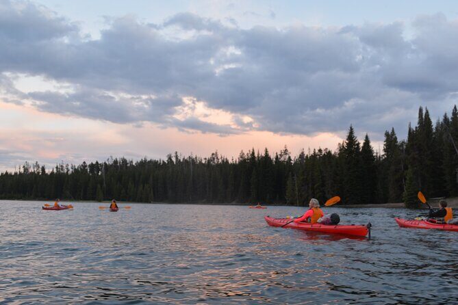 Small-Group Sunset Kayaking Tour on Lake Yellowstone - Key Points