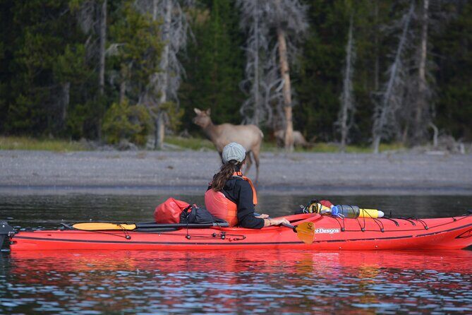 Small-Group Sunset Kayaking Tour on Lake Yellowstone - Final Thoughts