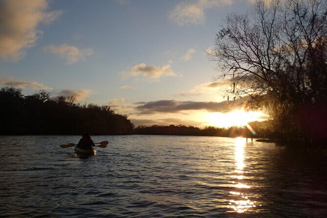Small Group Sunset Paddle Among Manatees near Orlando - Key Points