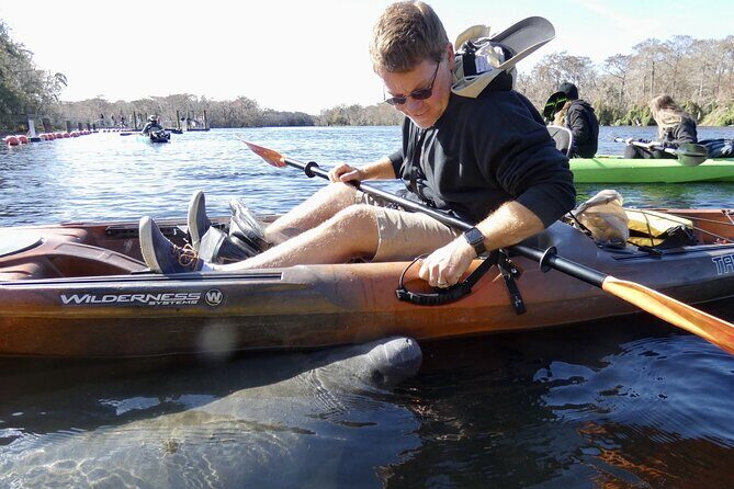 Small Group Sunset Paddle Among Manatees near Orlando - An In-Depth Look at the Experience