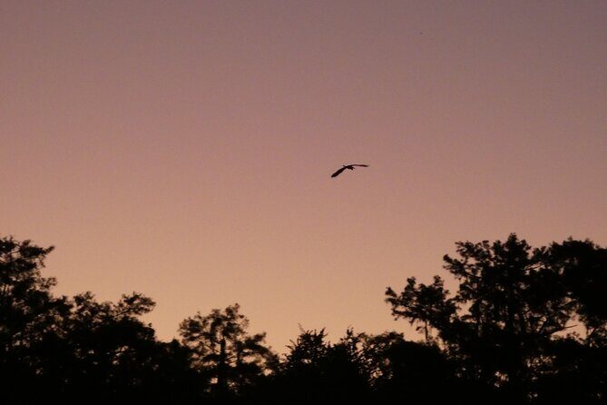 Small Group Sunset Paddle Among Manatees near Orlando - Final Thoughts