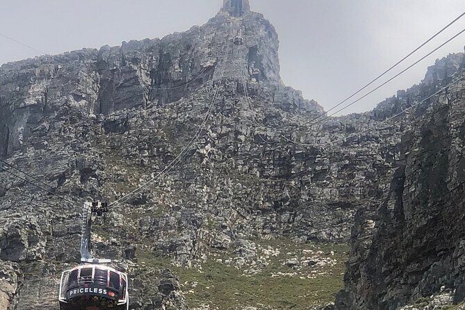 Small Group Table Mountain Penguin Colony and Cape Point Tour - What Travelers Say